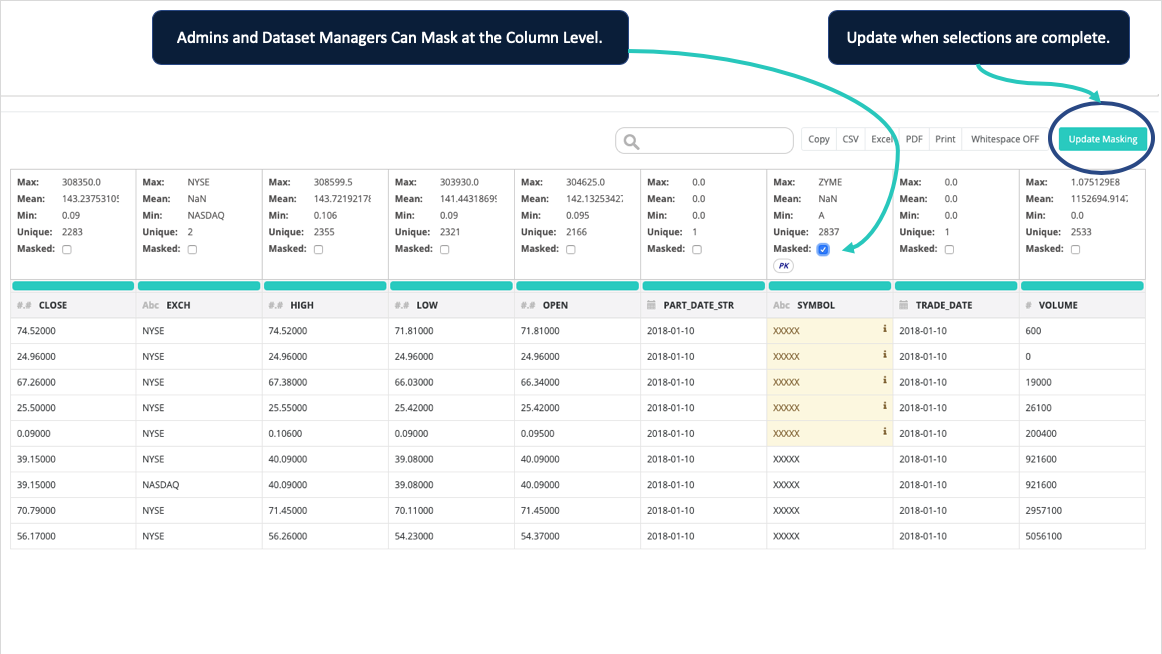 data set masking